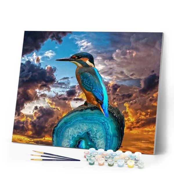 Small Bird with Long Beak Online now