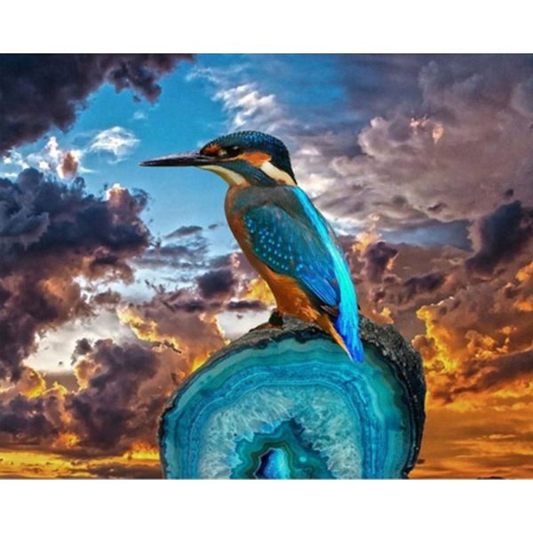 Small Bird with Long Beak Online now - Image 2